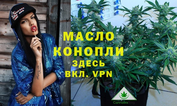 сатива Бронницы