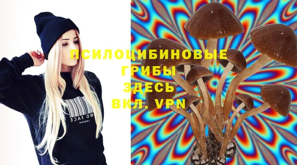 сатива Бронницы