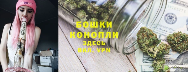 сатива Бронницы