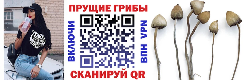 mega онион  как найти закладки  Мезень  Галлюциногенные грибы мухоморы 